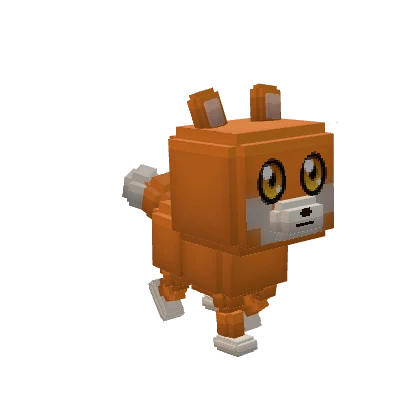 Zorrito